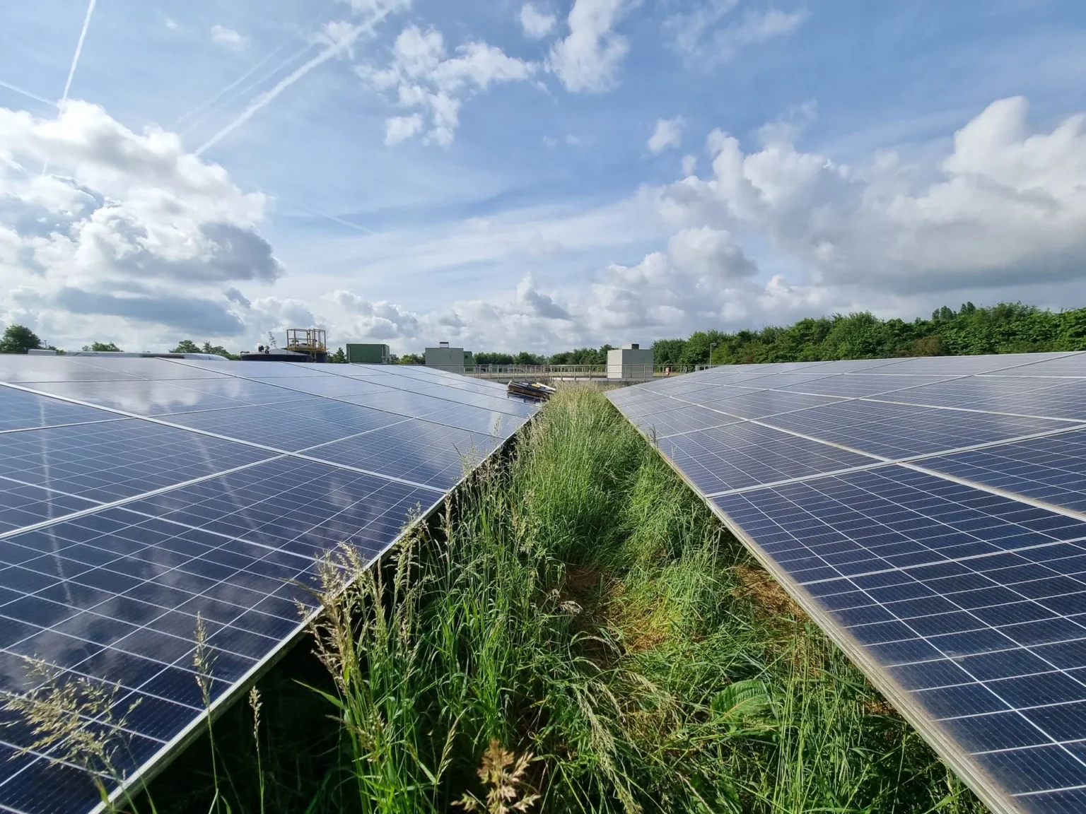 Groen onderhoud voor zonneparken