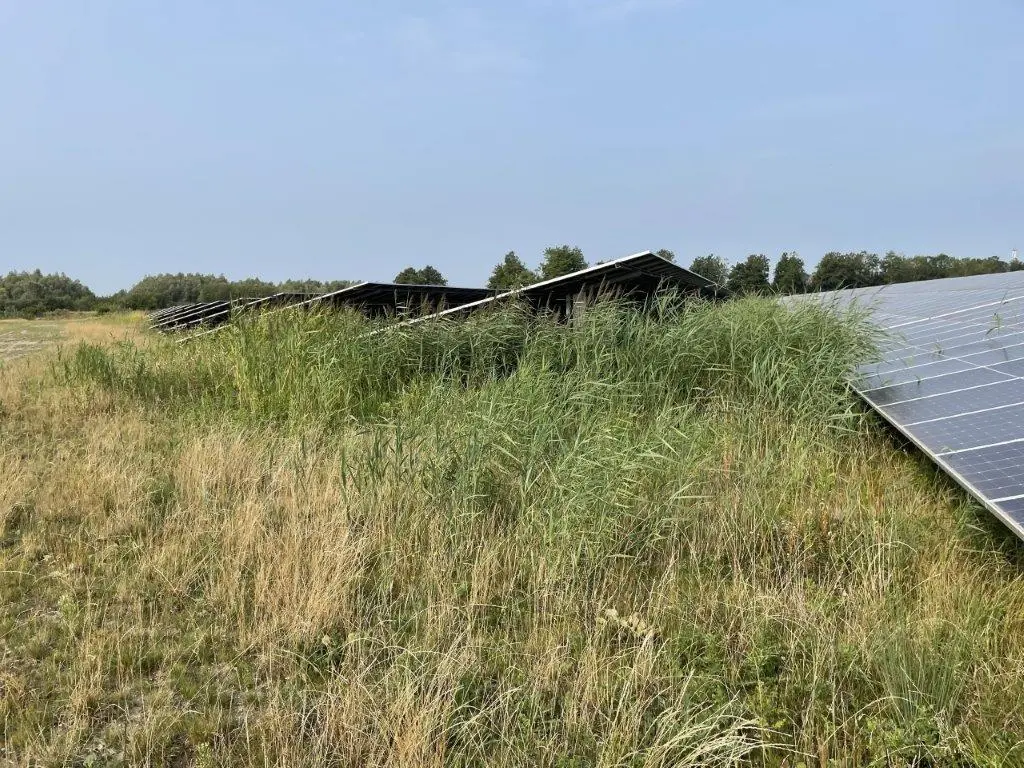Groen onderhoud zonnepanelen