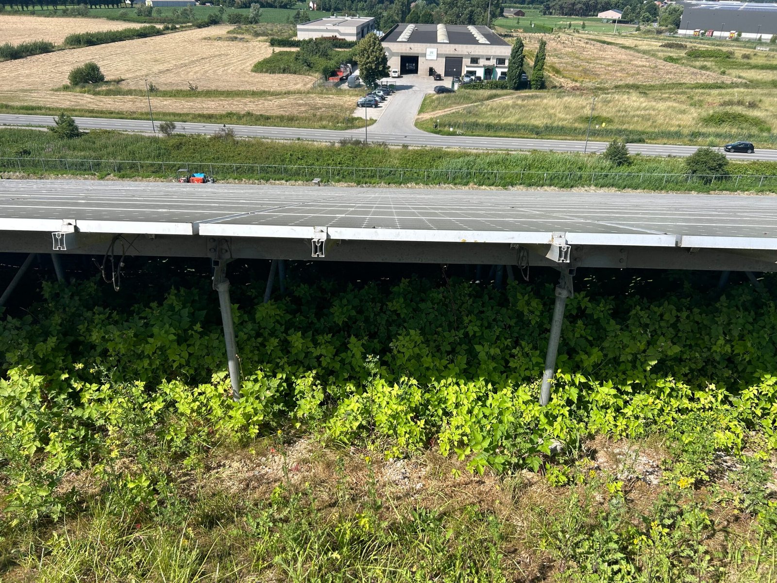 Groenonderhoud - VOOR