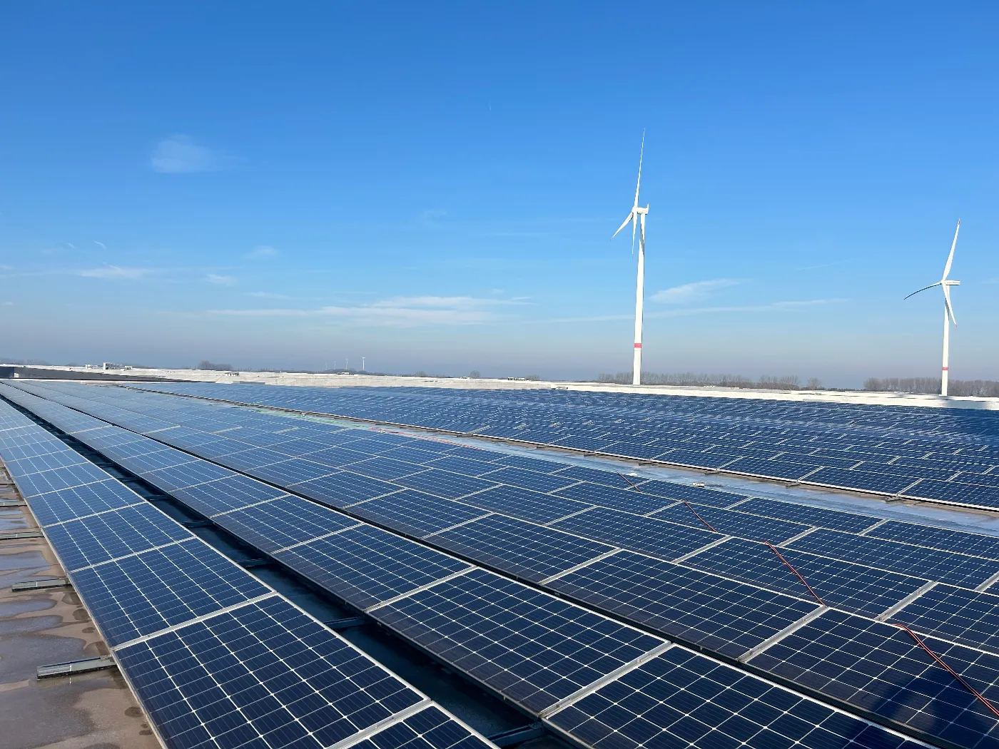 Zonnepanelen reinigen voor bedrijven roi